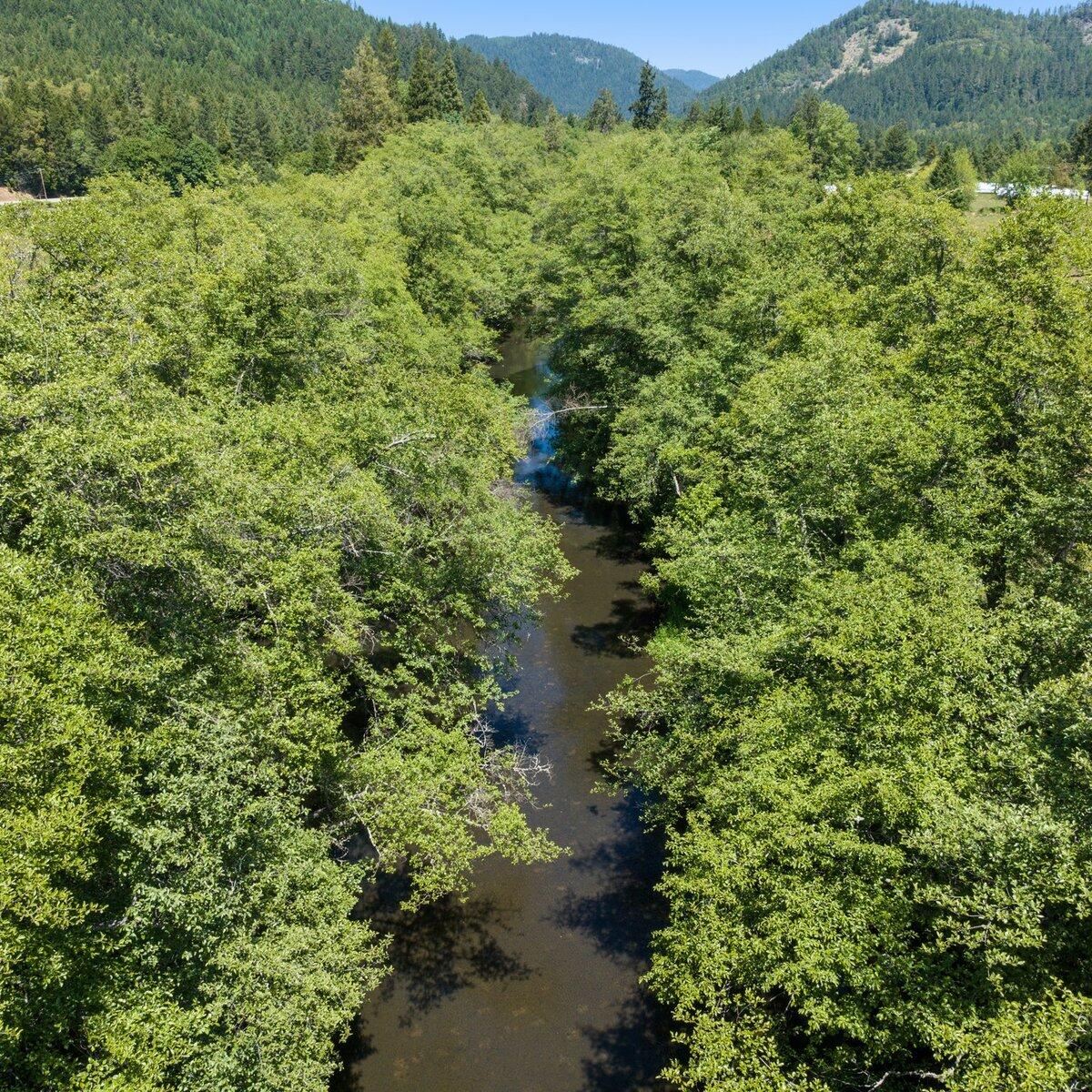1104 Upper Cow Creek Road Azalea, OR 97410 - Photo 61 of 77 93