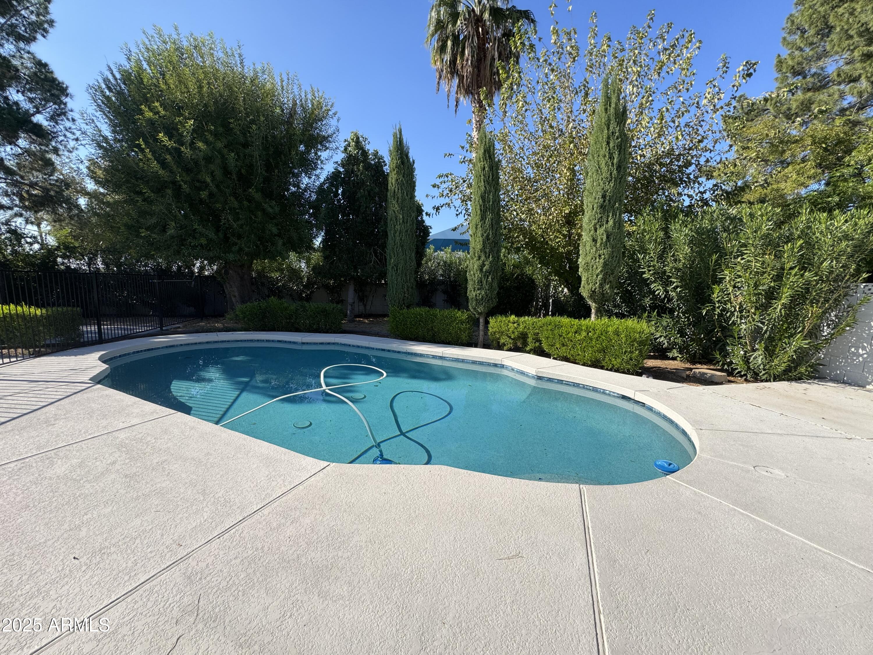 15402 North 57th Street Scottsdale, AZ 85254 - Photo 31 of 35 a view of a swimming pool and trees in the background