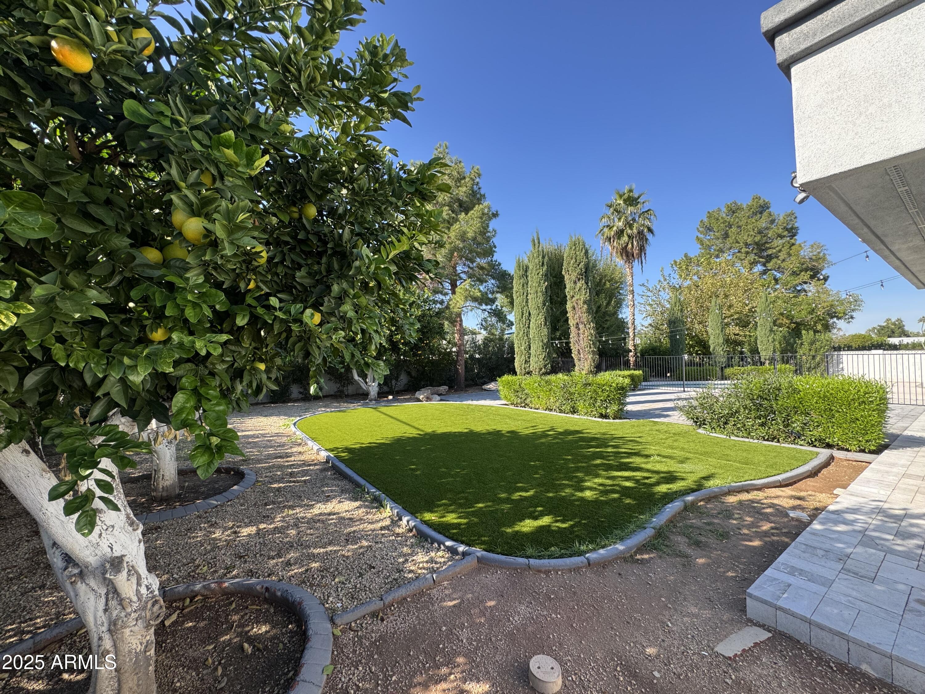 15402 North 57th Street Scottsdale, AZ 85254 - Photo 33 of 35 a view of a backyard