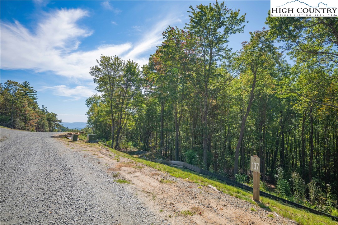 Lot 137 Angelfire Trail Deep Gap, NC 28618 - Photo 8 of 27 a view of a backyard with iron fence