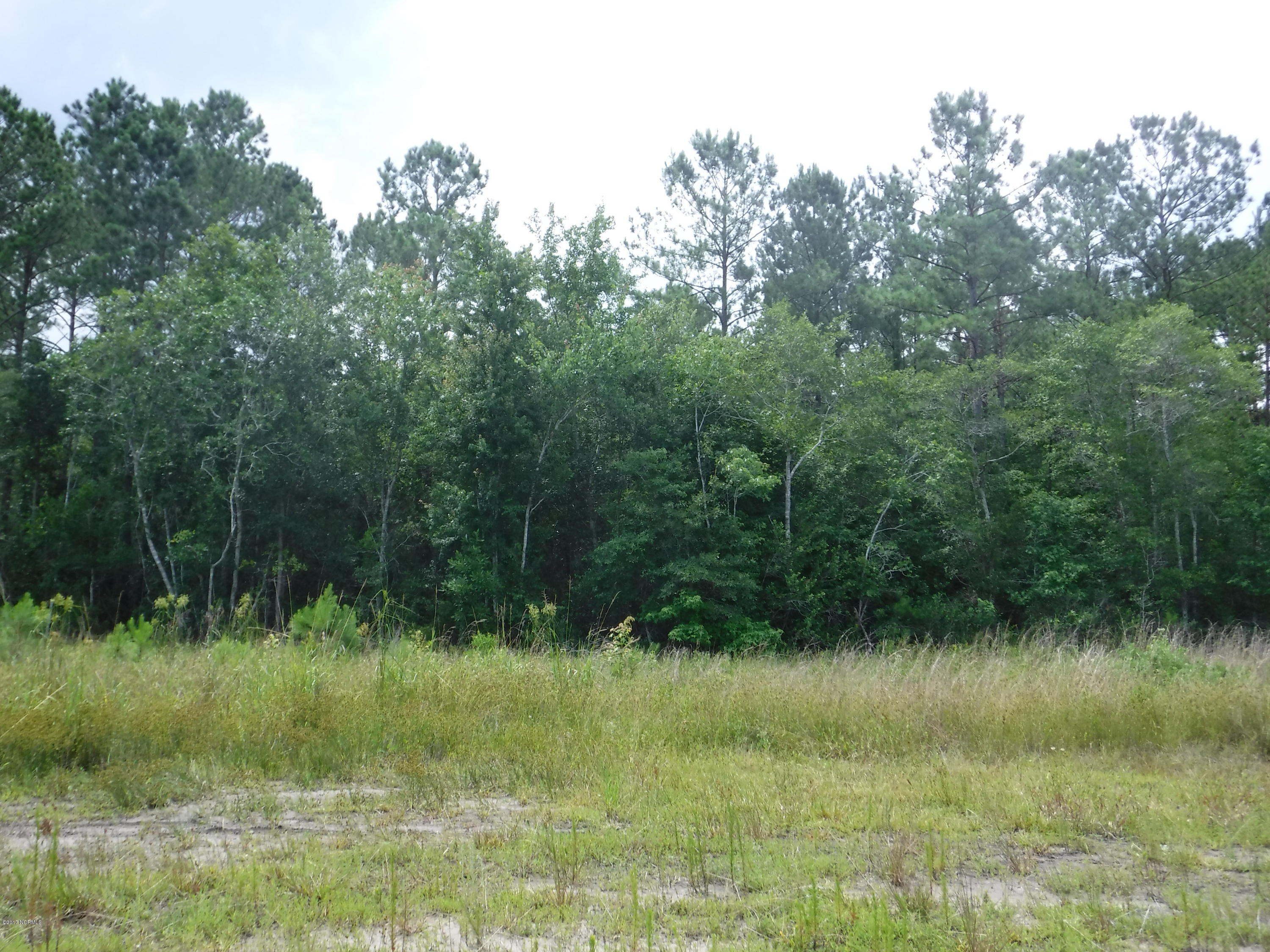 0 Homestead Lane Holly Ridge, NC 28445 - Photo 7 of 26 DSCF0029