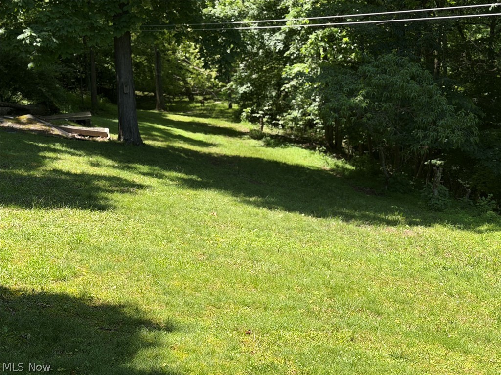 345 Tower Flat Top, WV 25841 - Photo 3 of 18
