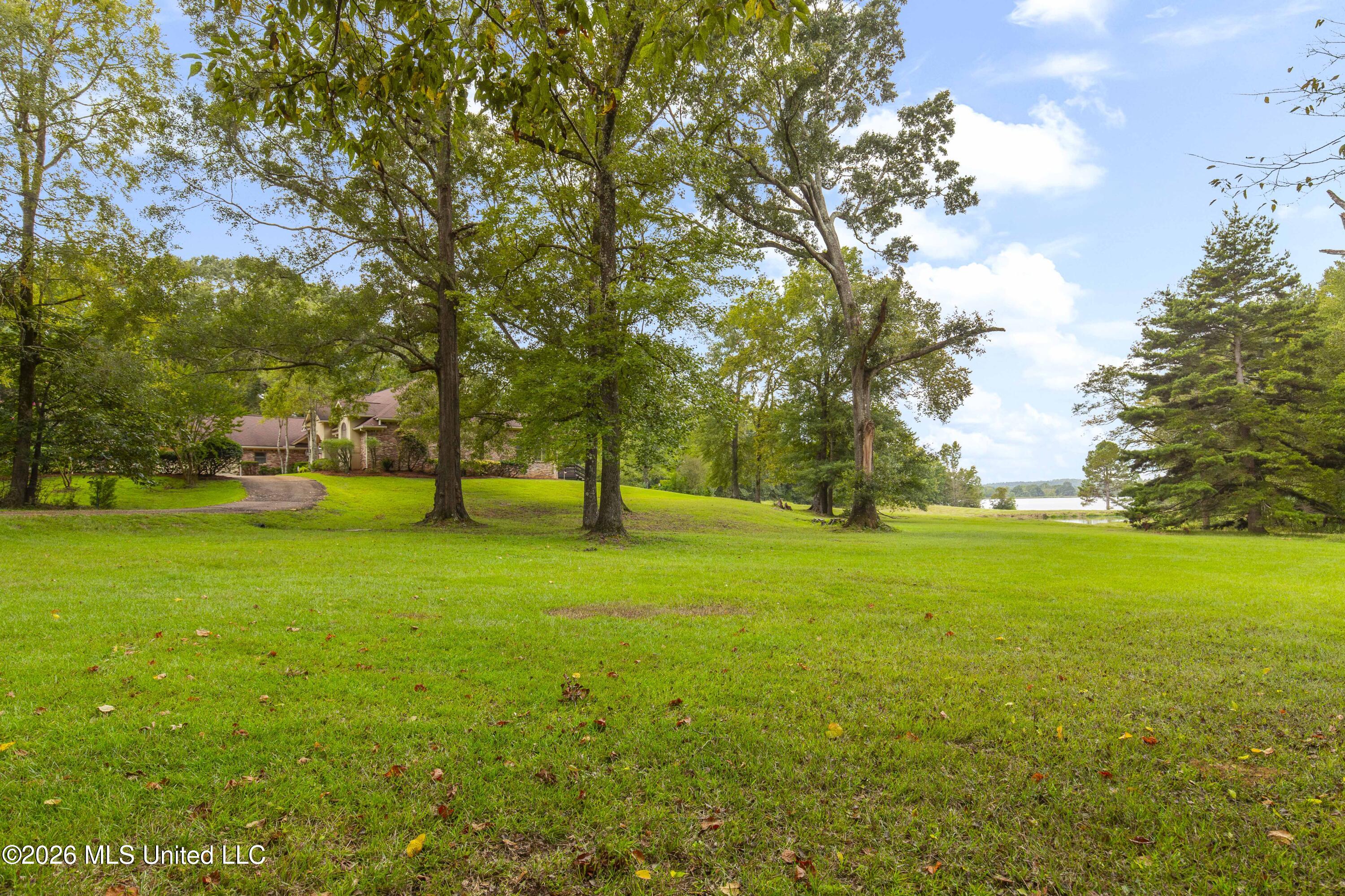 373 Chapel Hill Road Flora, MS 39071 - Photo 48 of 66 373 Chapel Hill-28