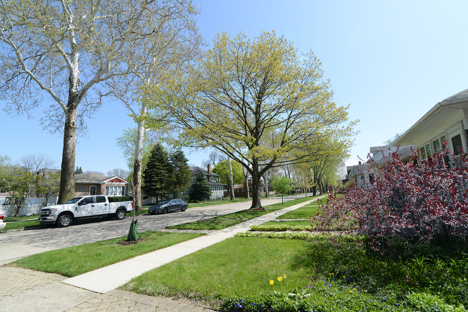 4162 Blanchan Avenue Brookfield, IL 60513 - Photo 5 of 39 a view of street with parked cars