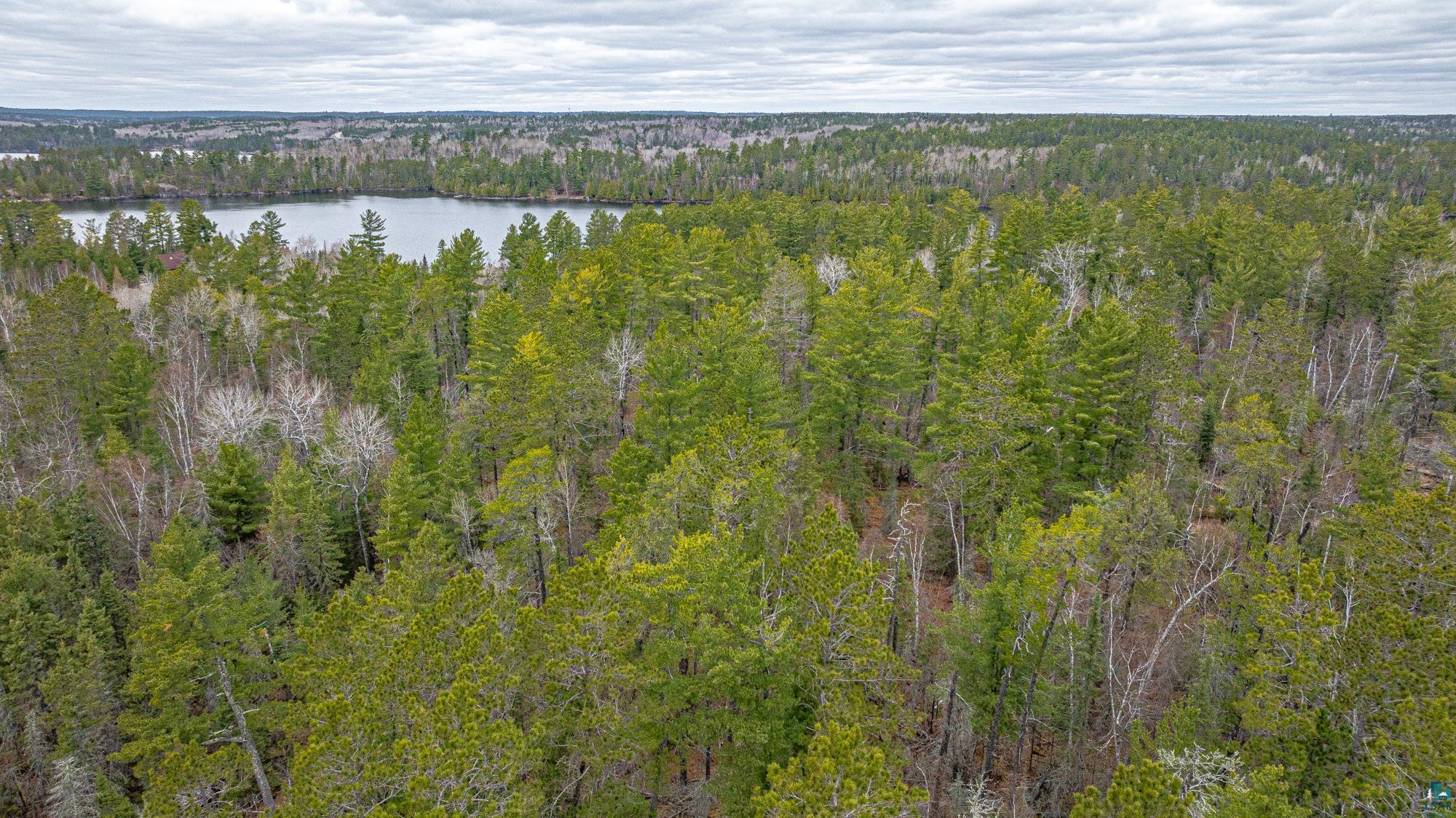 Tbd Lindbeck Road Ely, MN 55731 - Photo 27 of 44