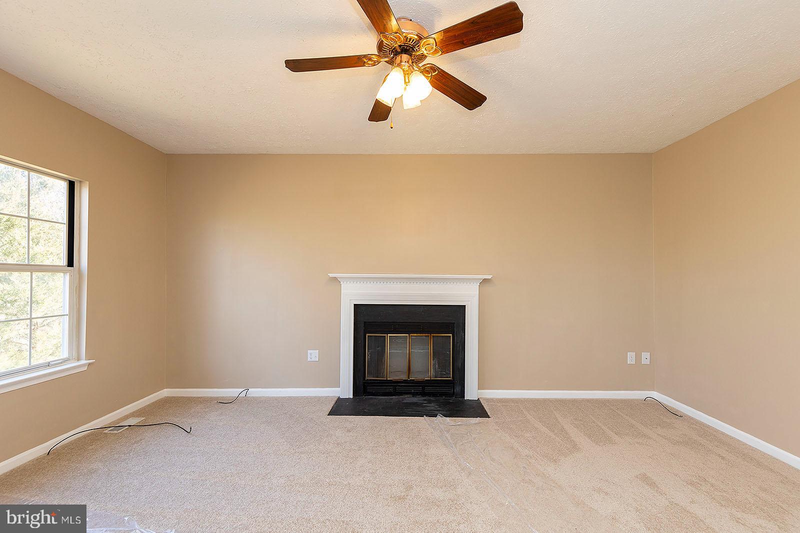 210 Alpine Meadow Road Winchester, VA 22602 - Photo 25 of 55 Family room has ceiling fan with light