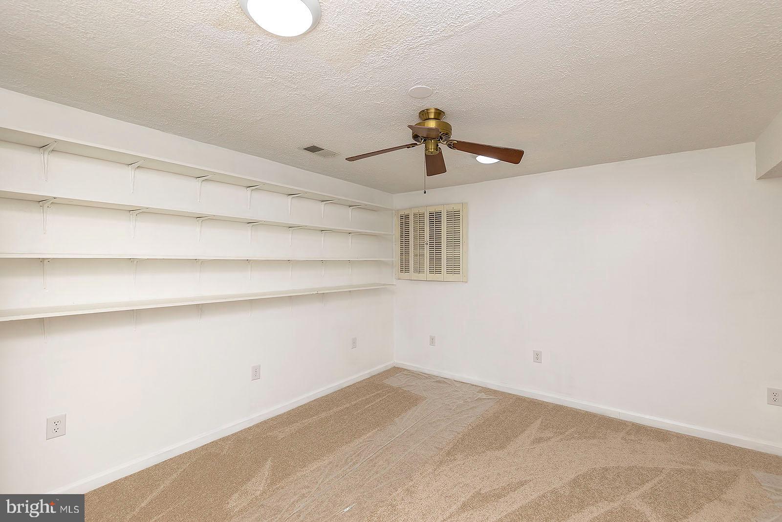 210 Alpine Meadow Road Winchester, VA 22602 - Photo 28 of 55 Great shelving