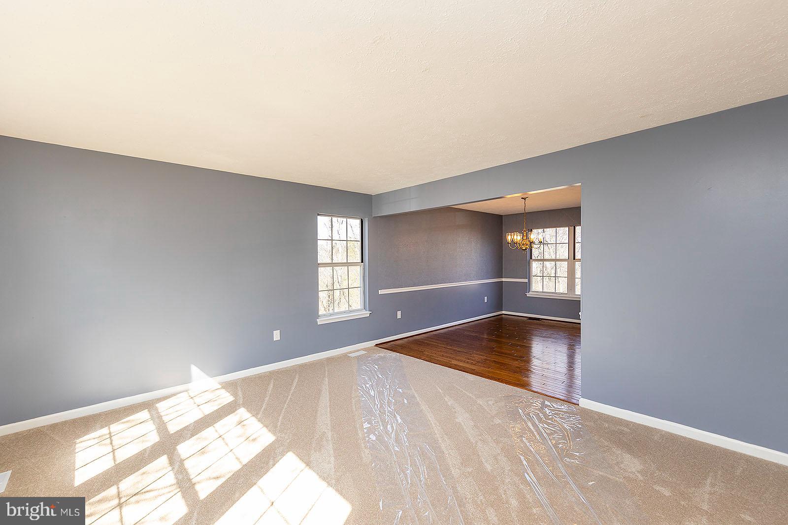 210 Alpine Meadow Road Winchester, VA 22602 - Photo 4 of 55 Living room with new carpet