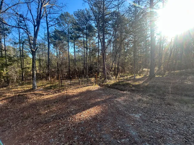 $150,000 | 9.01 Hwy 220 E Lincolnton Ga 30817, Lincolnton, GA 30817