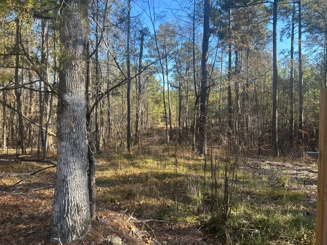 $150,000 | 9.01 Hwy 220 E Lincolnton Ga 30817, Lincolnton, GA 30817