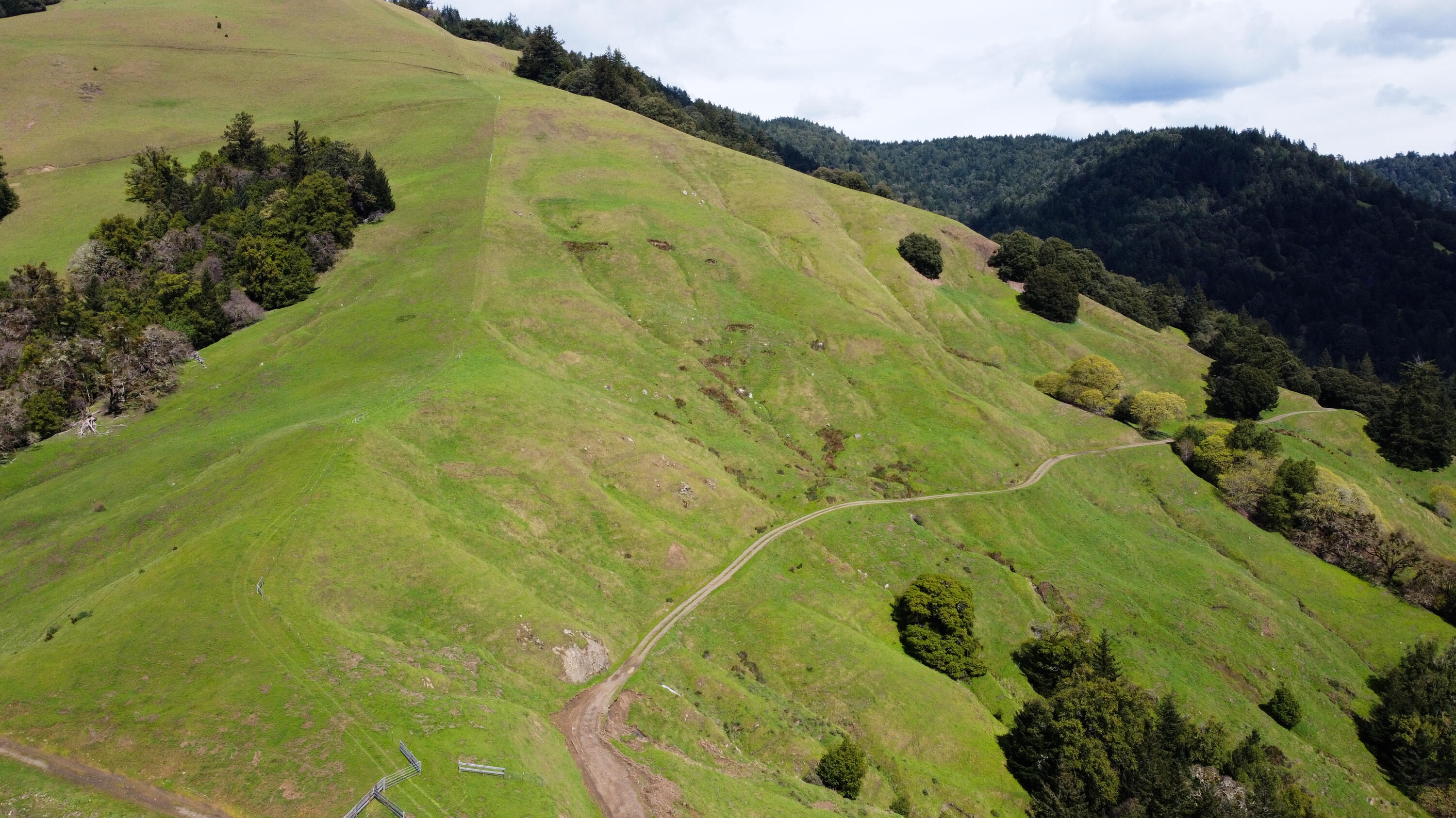 4001 Conklin Creek Road Ferndale, CA 95536 - Photo 97 of 125