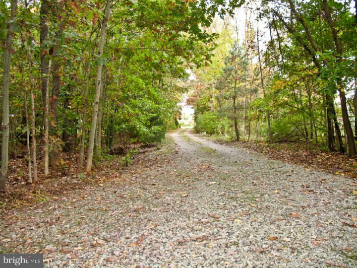 2603 Fries Mill Road Williamstown, NJ 08094 - Photo 8 of 22 Gallery Image 8