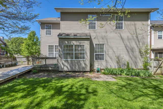 a view of a backyard with plants and large tree