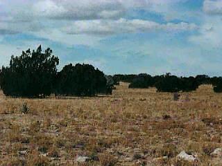 0 Buffington Road Tucson, AZ 85749 - Photo 2 of 4