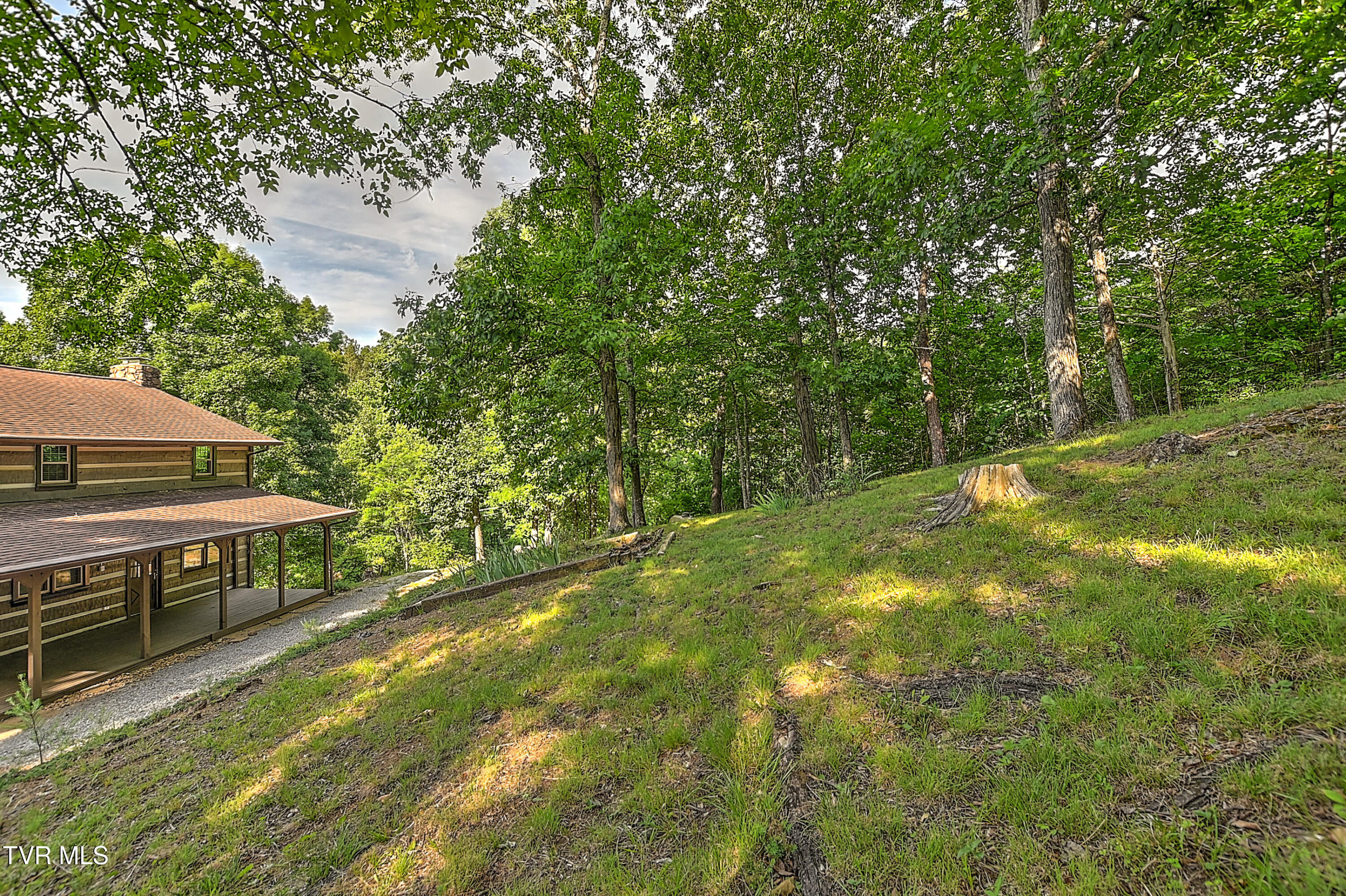 375 Lick Hollow Road Greeneville, TN 37743 - Photo 38 of 40 Scenic Backyard Setting
