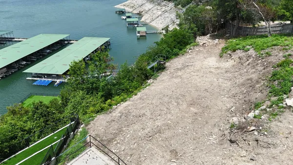 a view of a backyard with plants