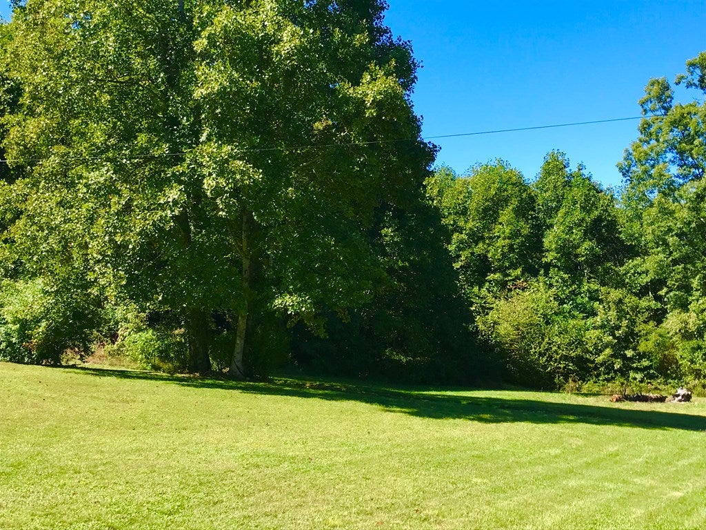 3574 Bellspur Road Meadows Of Dan, VA 24120 - Photo 13 of 75 Gallery Image 13