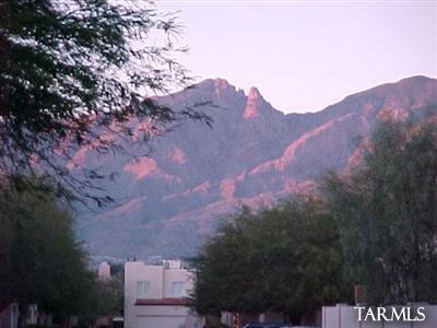 4316 East Kleindale Road Tucson, AZ 85712 - Photo 2 of 15