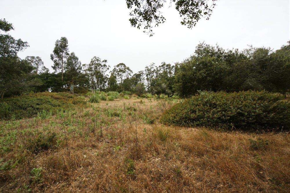 0 Valle Pacifico Road Salinas, CA 93907 - Photo 12 of 45