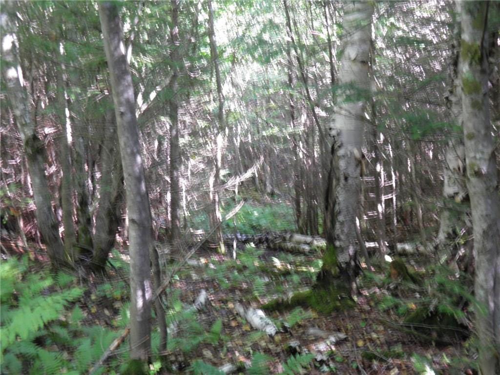 0 Edelheid Road Sandy River Plt, ME 04970 - Photo 19 of 22 Photo
