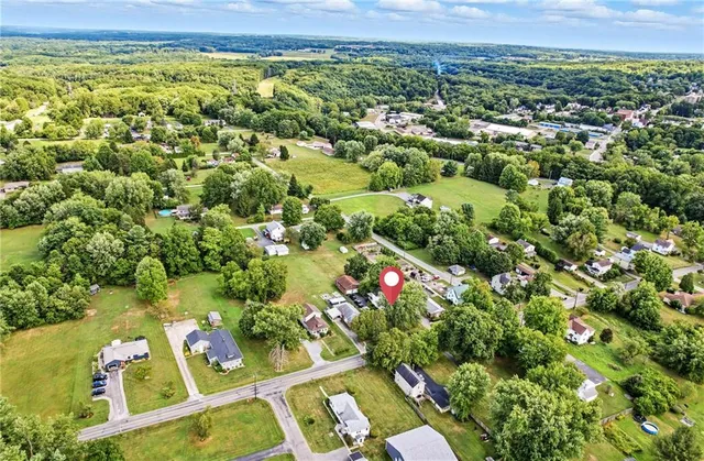 a view of a garden with plants
