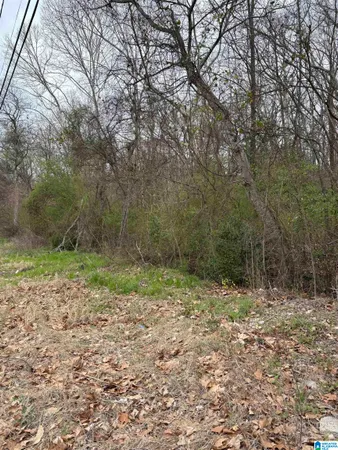 $17,835 | 1599 Simmons Street, Dolomite, AL 35061