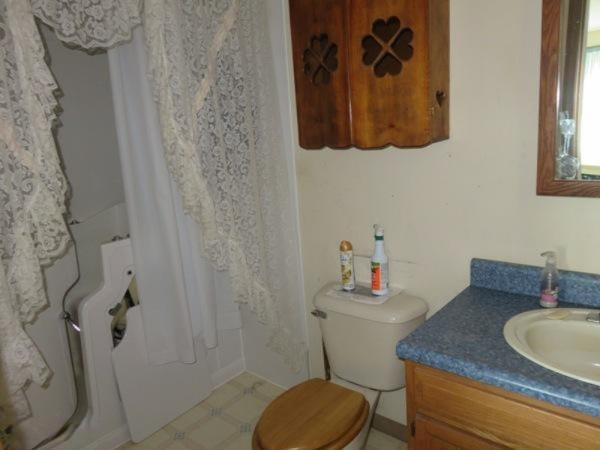 1248 Robinson Road Quincy, MI 49082 - Photo 9 of 17 IMG_4717