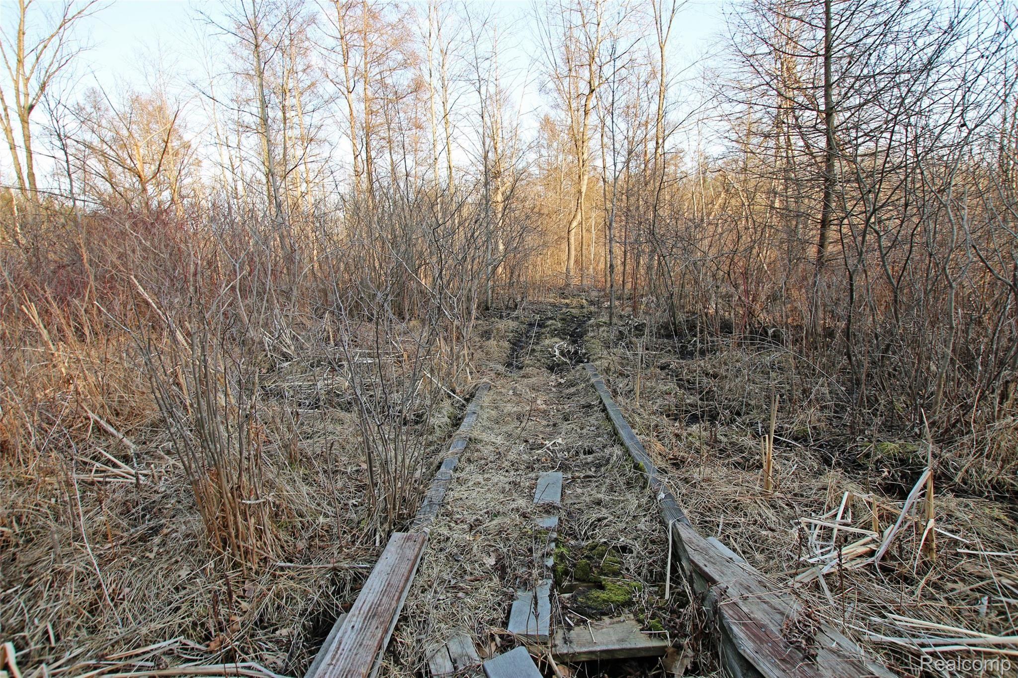 1085 Bird Road Ortonville, MI 48462 - Photo 79 of 79 79) Property Trails.jpg