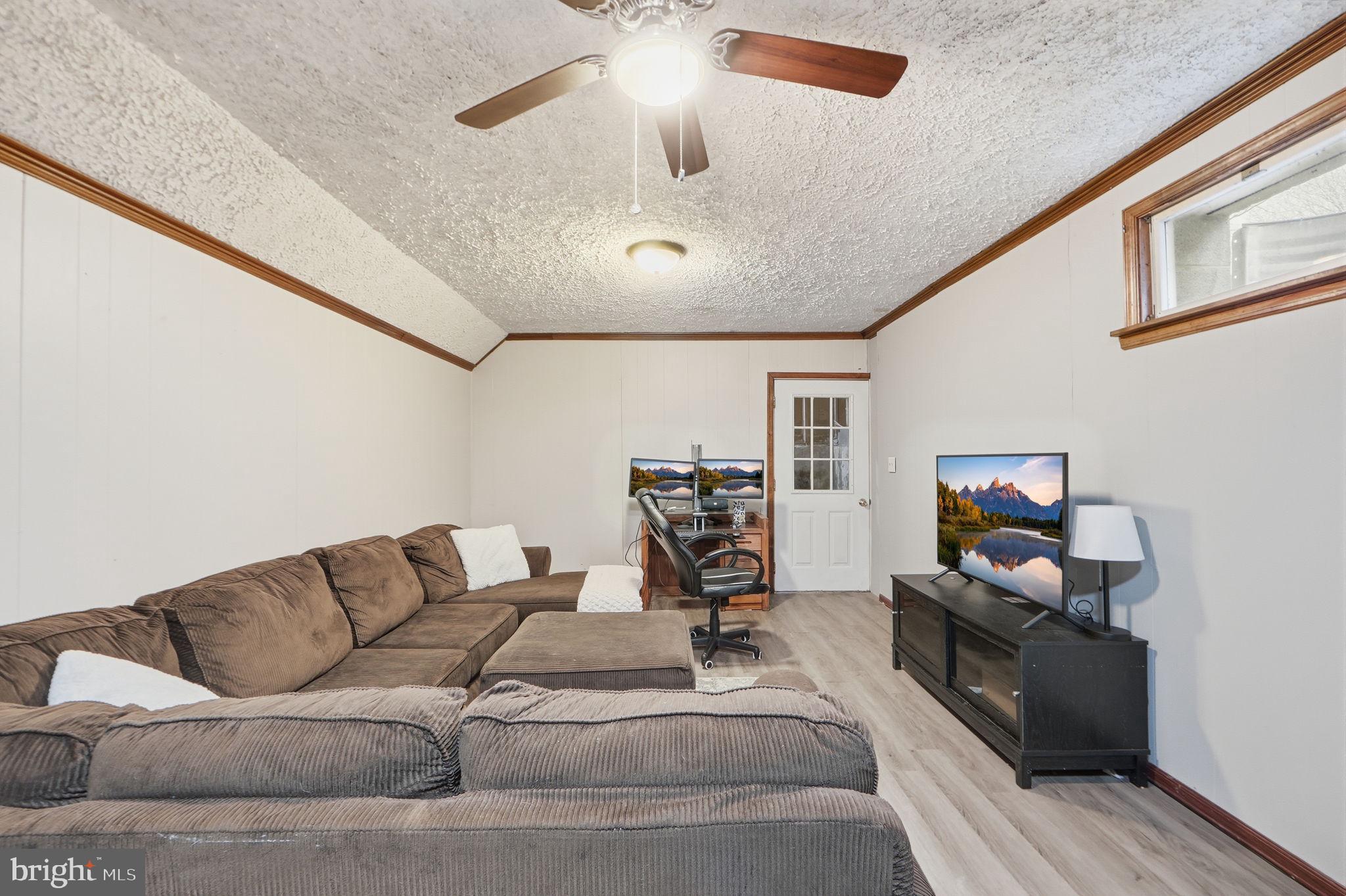 447 Center Street Frederick, MD 21701 - Photo 20 of 31 Downstairs Family Room