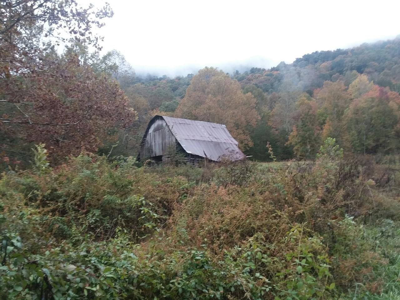 700 Lone Road Pioneer, TN 37847 - Photo 13 of 17 thumbnail_20181026_094954_resized_1