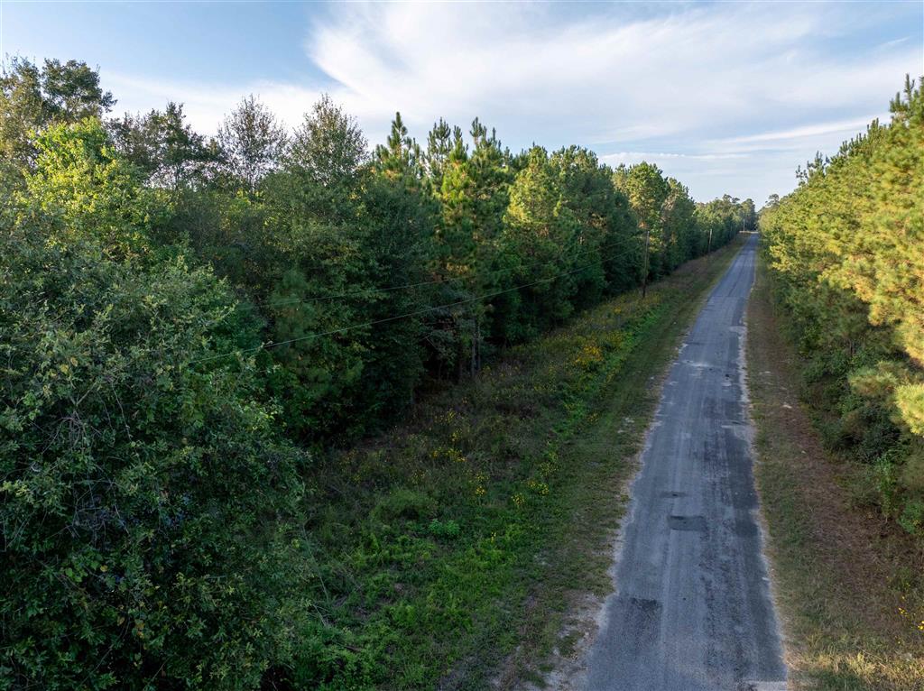 Burns Clark Road Singer, LA 70660 - Photo 2 of 8