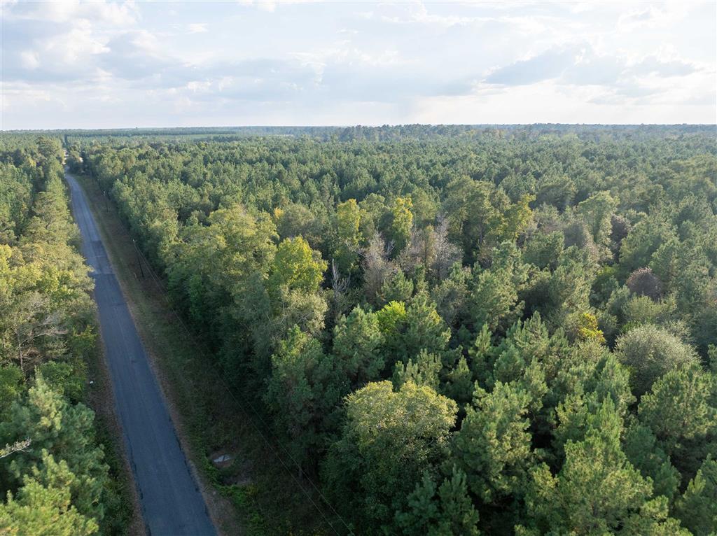 Burns Clark Road Singer, LA 70660 - Photo 3 of 8