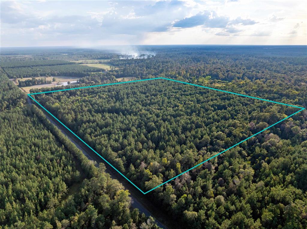 Burns Clark Road Singer, LA 70660 - Photo 4 of 8