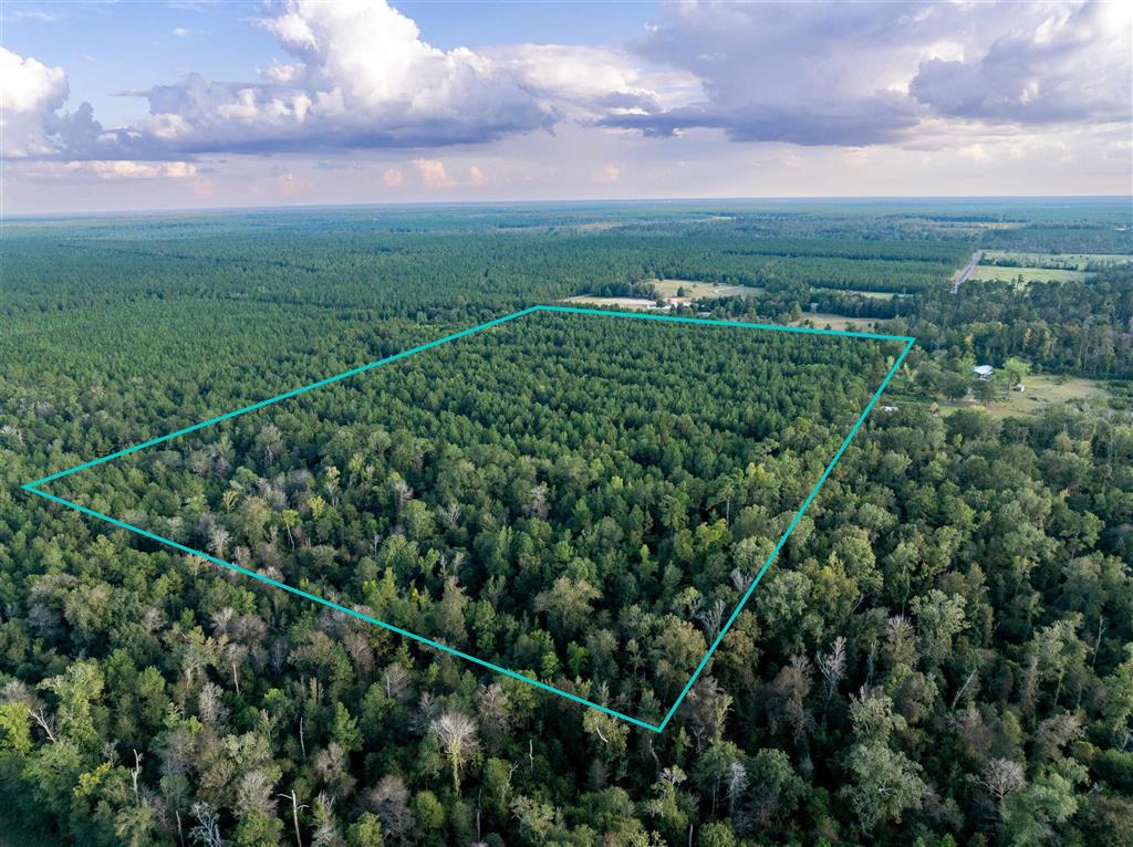 Burns Clark Road Singer, LA 70660 - Photo 5 of 8