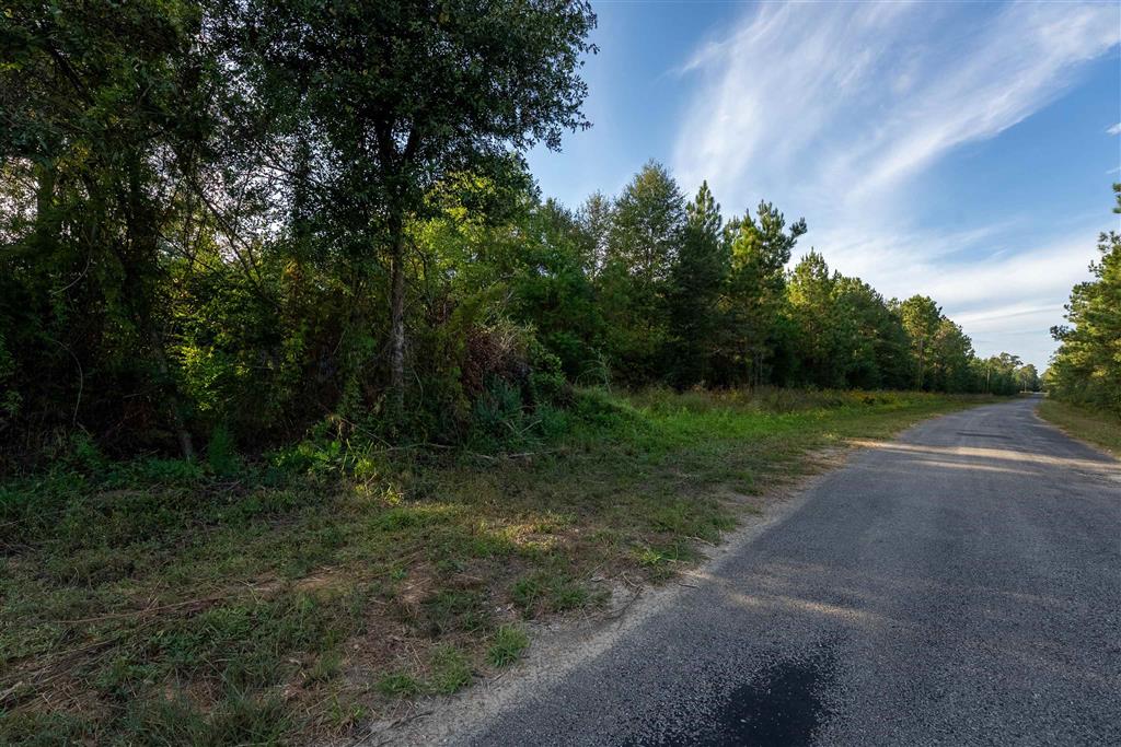 Burns Clark Road Singer, LA 70660 - Photo 6 of 8