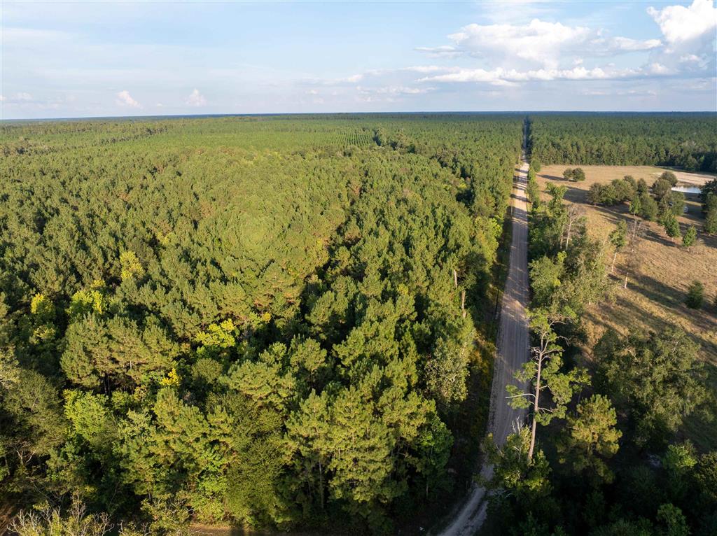 Burns Clark Road Singer, LA 70660 - Photo 7 of 8