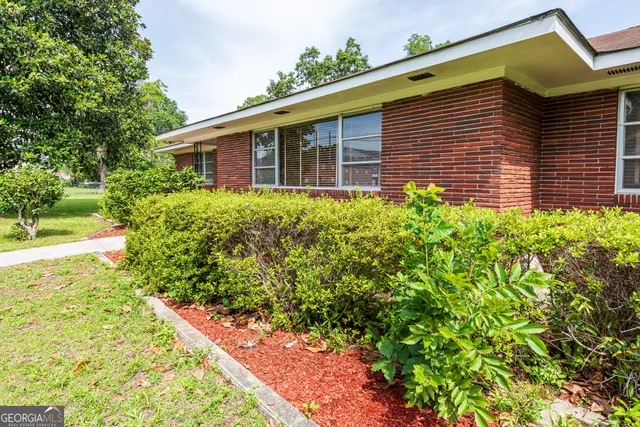 a view of a trees with a big yard