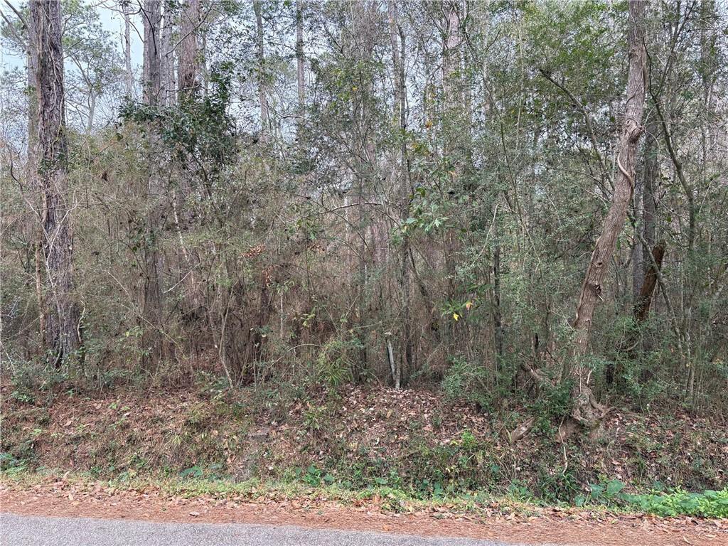 0 Huey Street Lacombe, LA 70445 - Photo 1 of 8