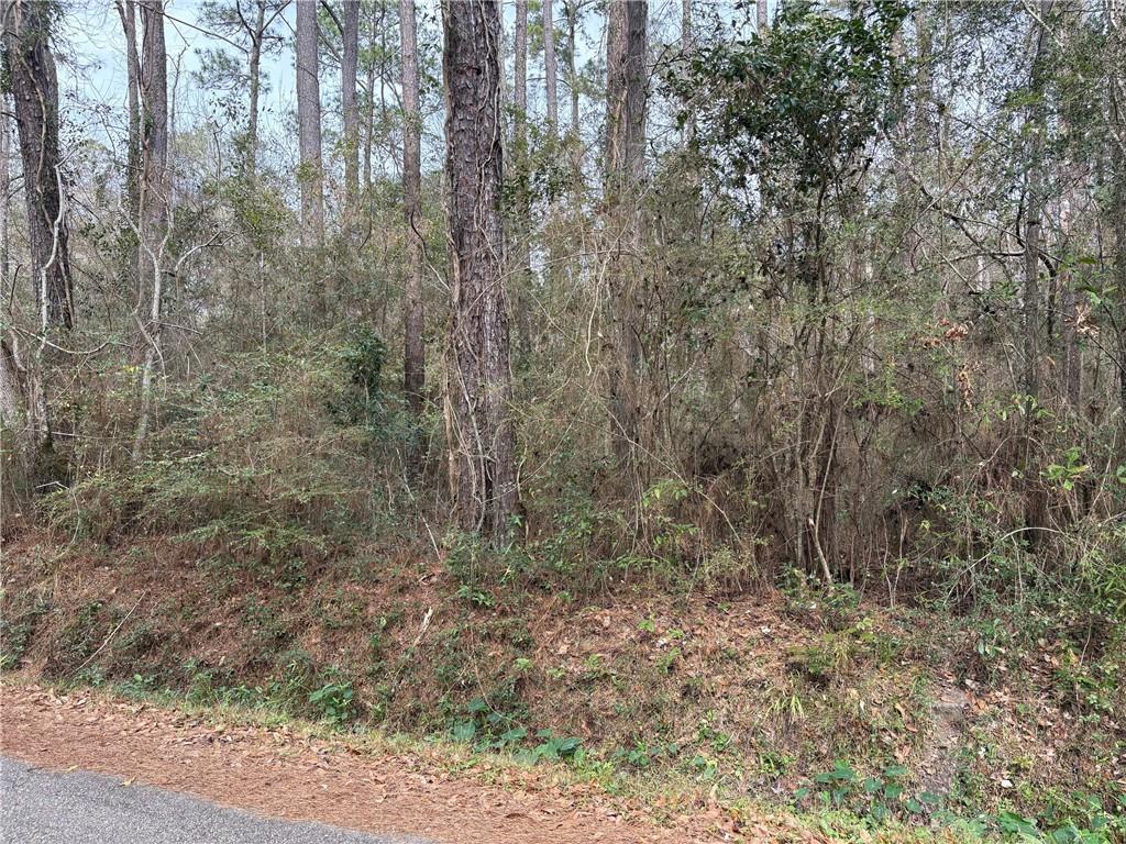 0 Huey Street Lacombe, LA 70445 - Photo 2 of 8