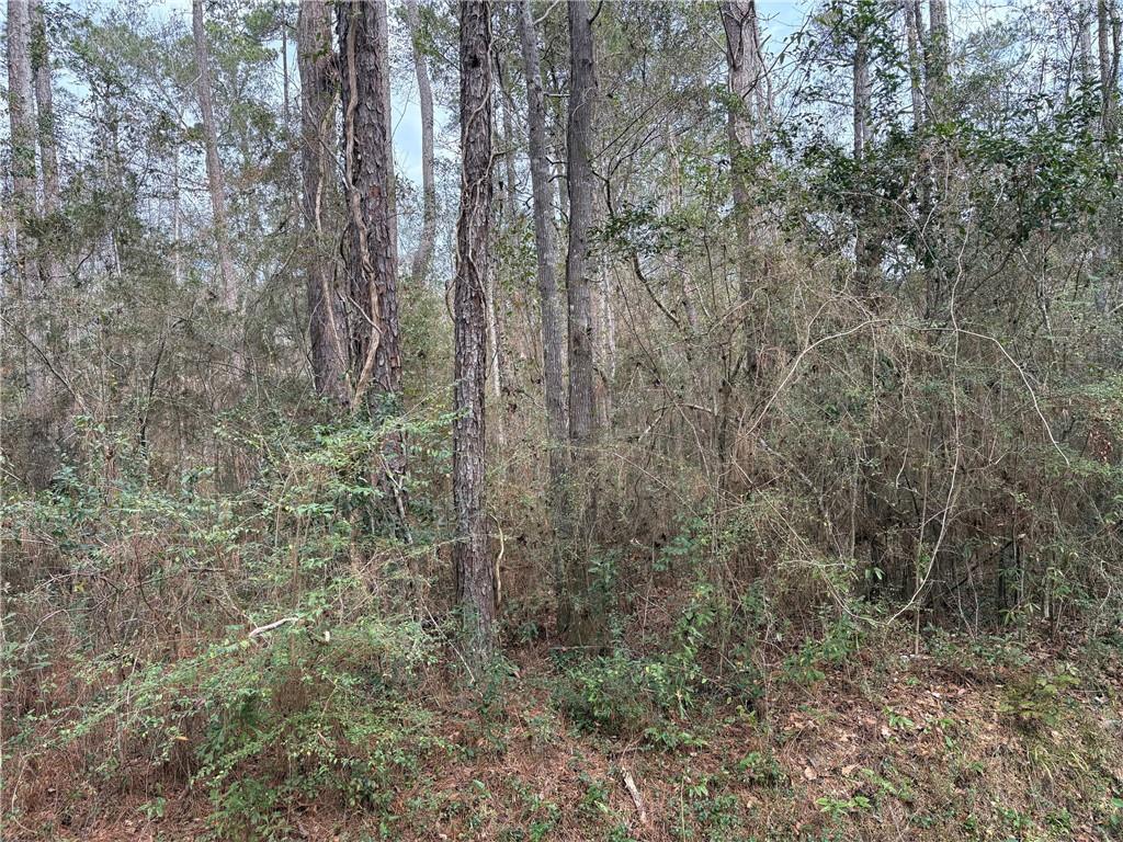 0 Huey Street Lacombe, LA 70445 - Photo 3 of 8