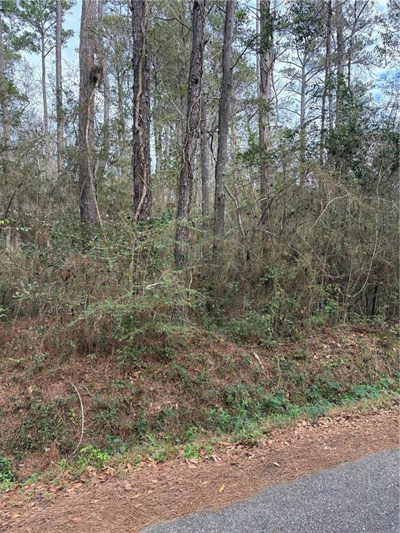 0 Huey Street Lacombe, LA 70445 - Photo 7 of 8