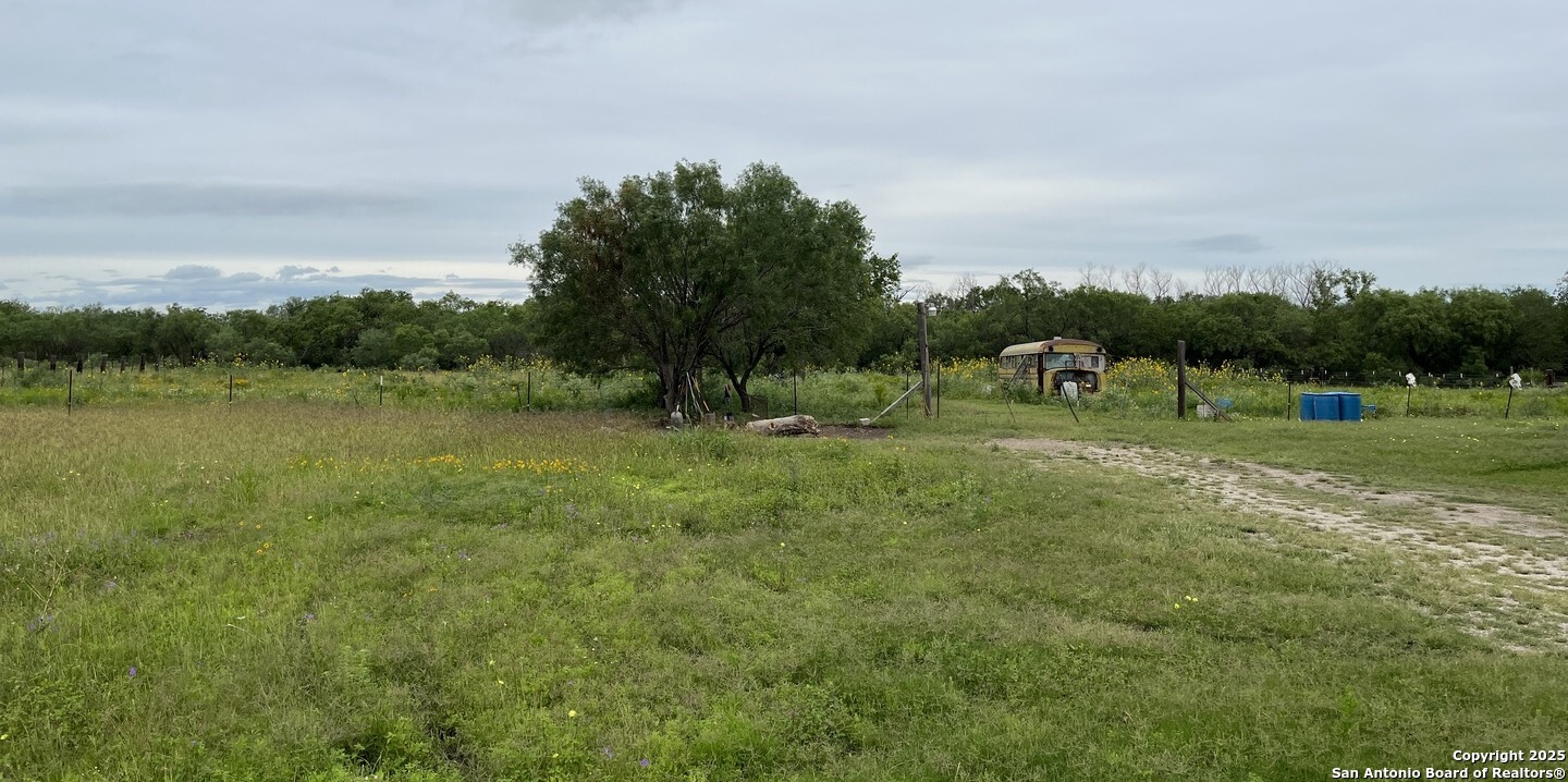 14895 Wheeler Road Atascosa, TX 78002 - Photo 3 of 5