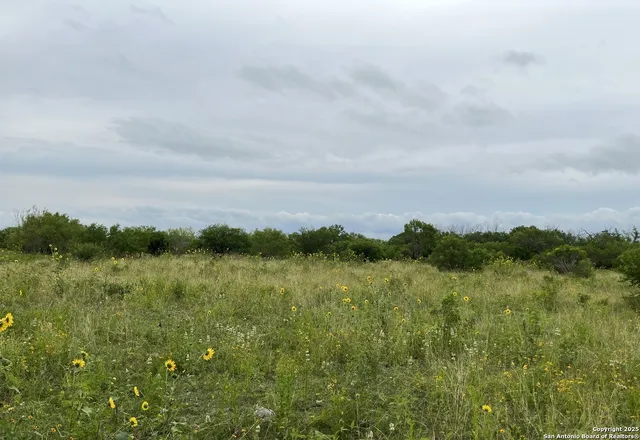 $460,000 | 14895 Wheeler Road, Atascosa, TX 78002