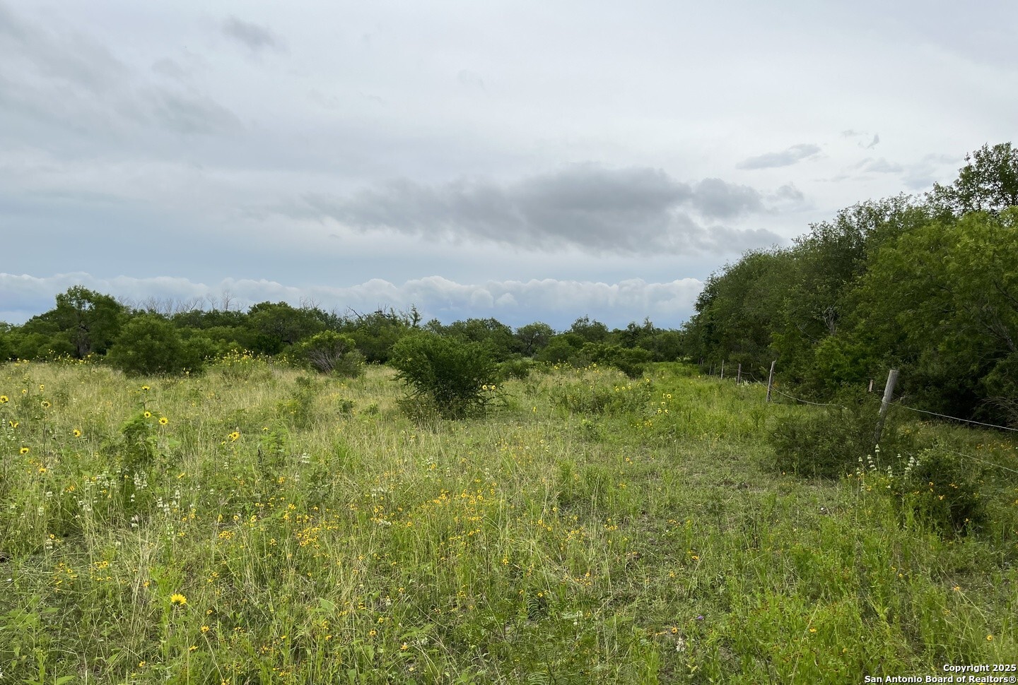 14895 Wheeler Road Atascosa, TX 78002 - Photo 5 of 5