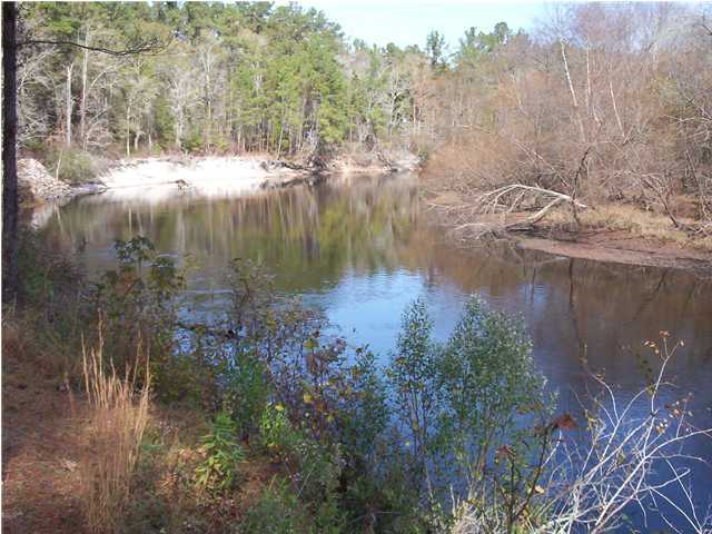 677 Needle Road Branchville, SC 29432 - Photo 3 of 4 Additional Photo