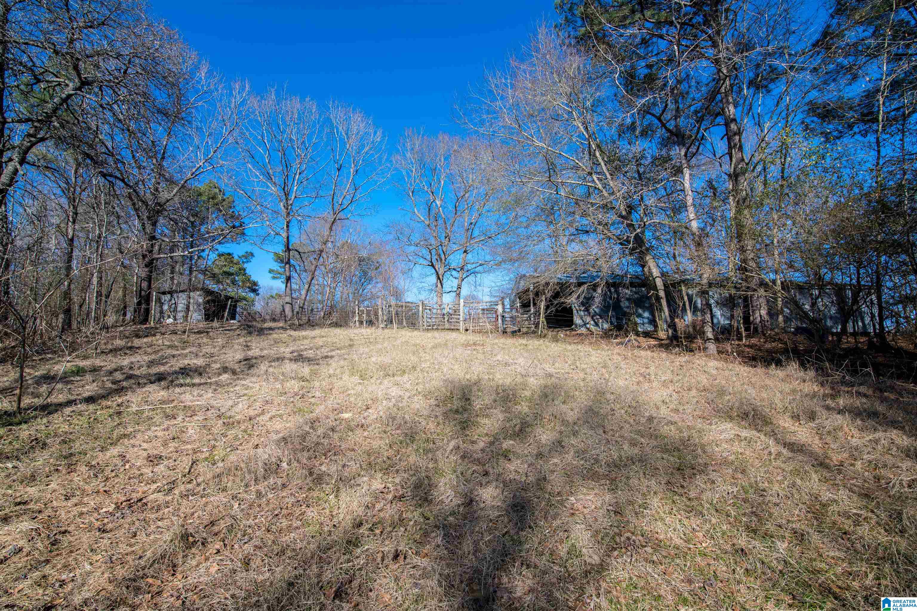3086 Feddisburg Road, Unit ACREAGE SECTIONS 1 & 2 Alpine, AL 35014 - Photo 7 of 34