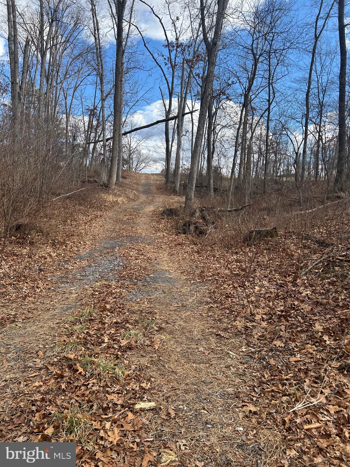 Copp Road Strasburg, VA 22657 - Photo 3 of 7 a backyard of a house with lots of green space