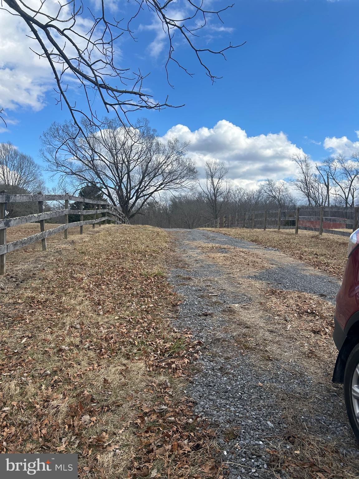 Copp Road Strasburg, VA 22657 - Photo 4 of 7 a view of a backyard of the house