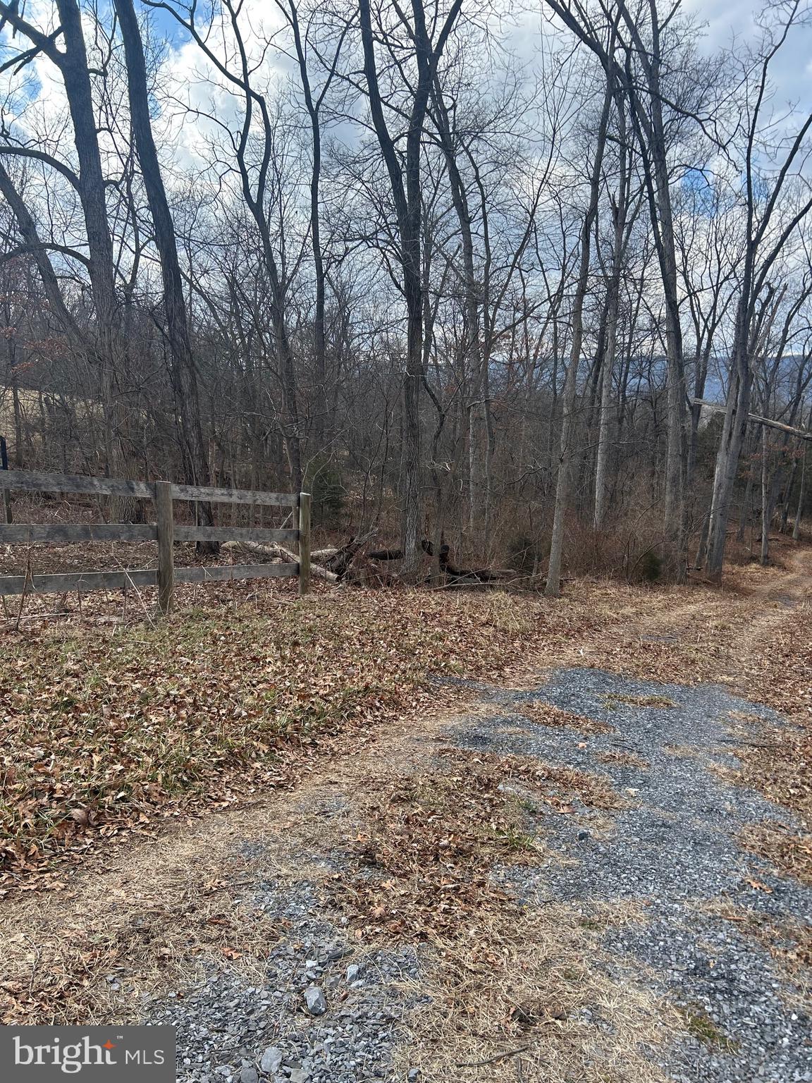Copp Road Strasburg, VA 22657 - Photo 6 of 7 a backyard of a house with lots of green space