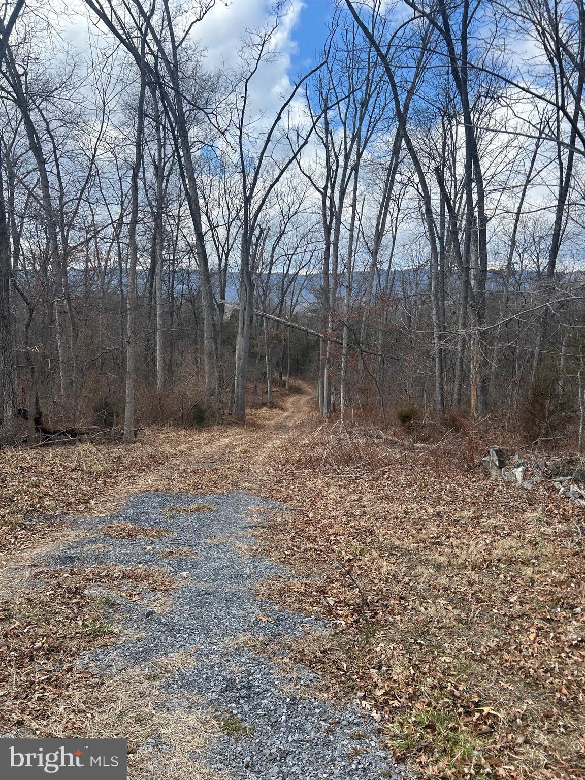 Copp Road Strasburg, VA 22657 - Photo 7 of 7 a backyard of a house with lots of green space